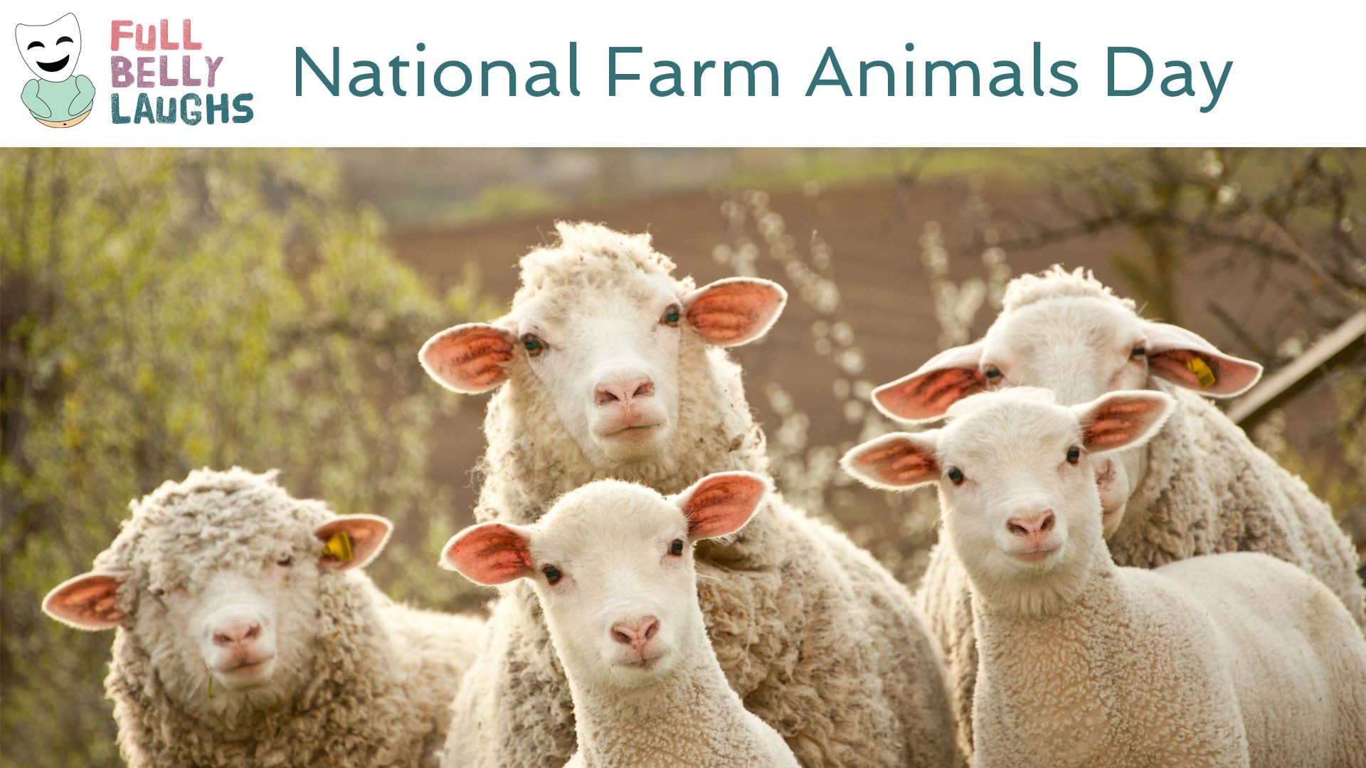 National Farm Animals Day